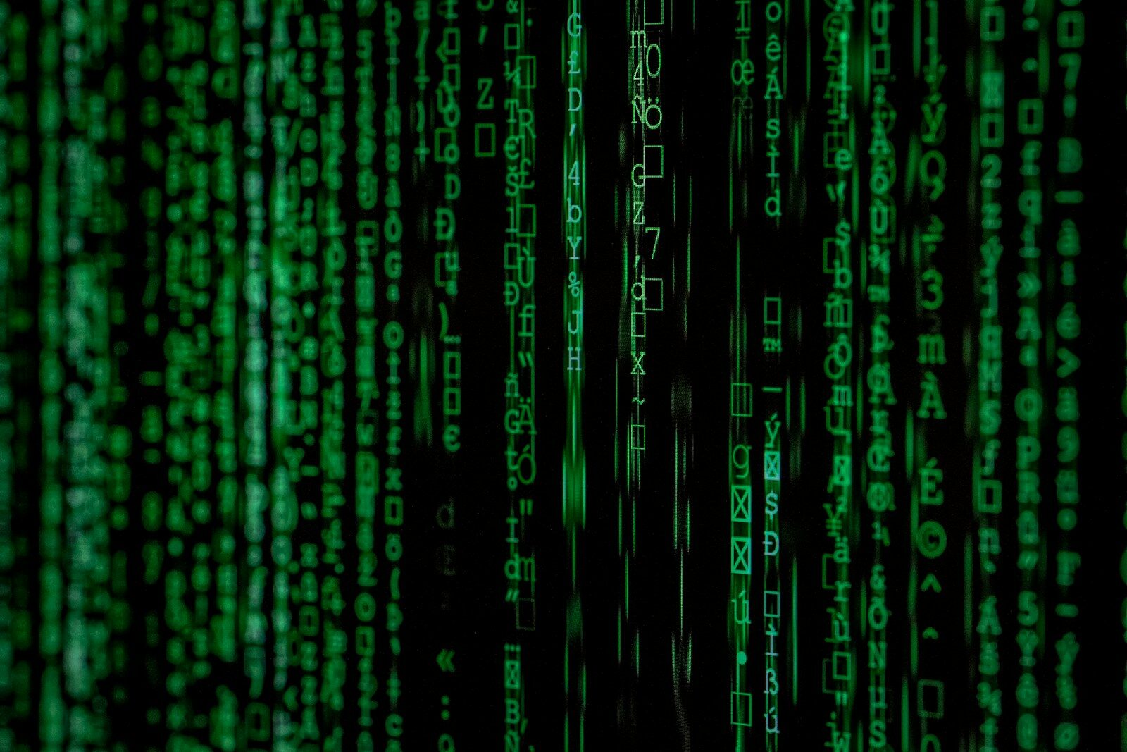 A Field Guide to Speculative Loading in WordPress